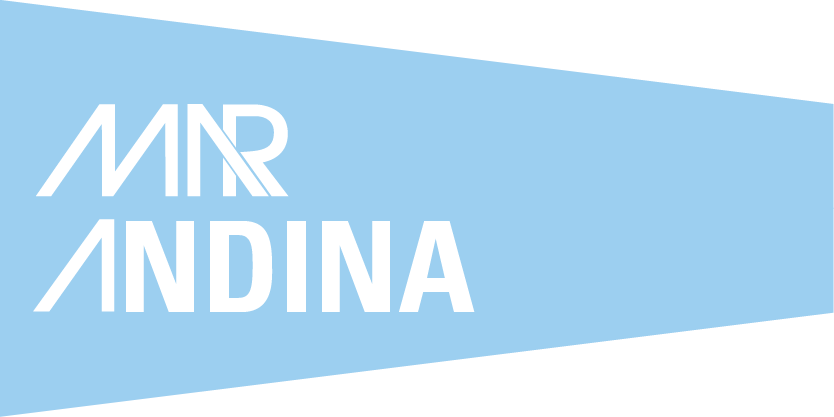 Marítima Andina